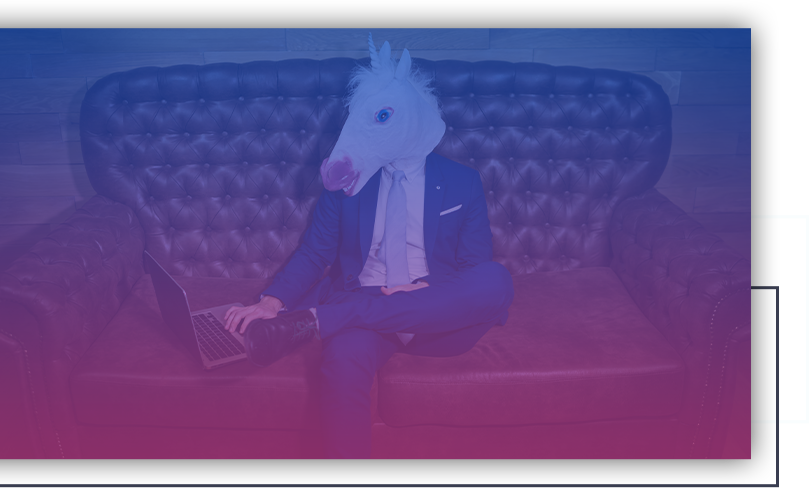 horse horse